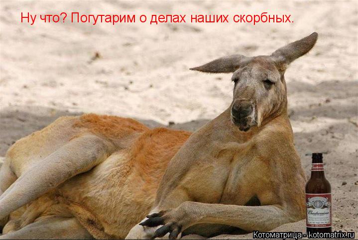 Ну что? Погутарим о делах наших скорбных.... Котоматрица: Ну что? Погутарим о делах наших скорбных.