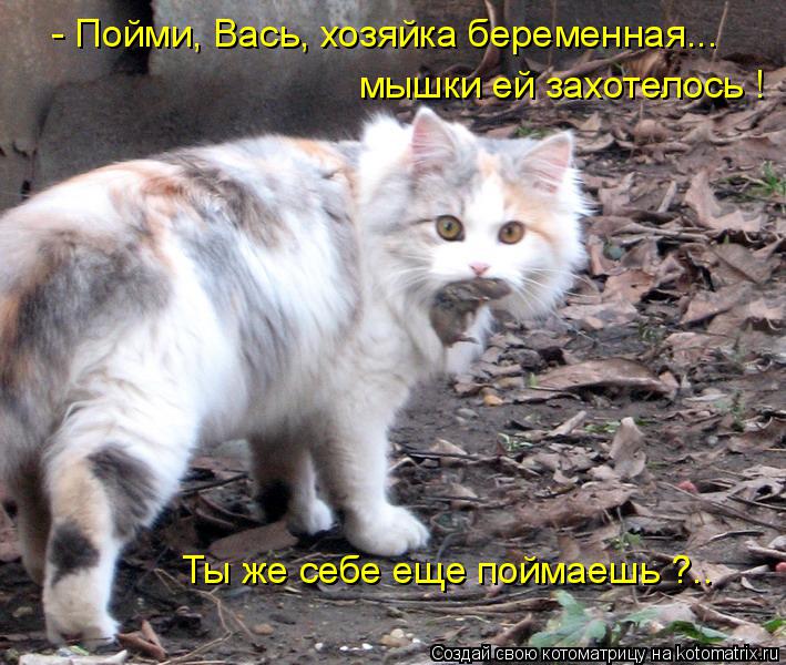 Ты же себе еще поймаешь ?.. - Пойми, Вась, хозяйка беременная... мышки ей захотелось !... Котоматрица: Ты же себе еще поймаешь ?.. - Пойми, Вась, хозяйка беременная... мышки ей захотелось !