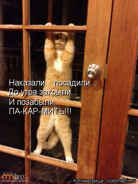Наказали... посадили... До утра закрыли... И позабыли... ПА-КАР-МИТЬ!!!... Котоматрица: Наказали... посадили... До утра закрыли... И позабыли... ПА-КАР-МИТЬ!!!