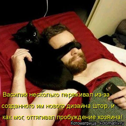 Котоматрица: Василий несколько переживал из-за как мог, оттягивал пробуждение хозяина! созданного им нового дизайна штор, и