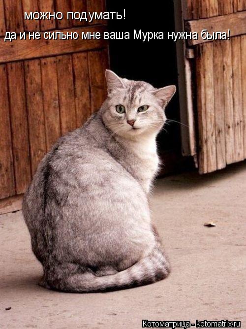 можно подумать! да и не сильно мне ваша Мурка нужна была!... Котоматрица: можно подумать! да и не сильно мне ваша Мурка нужна была!