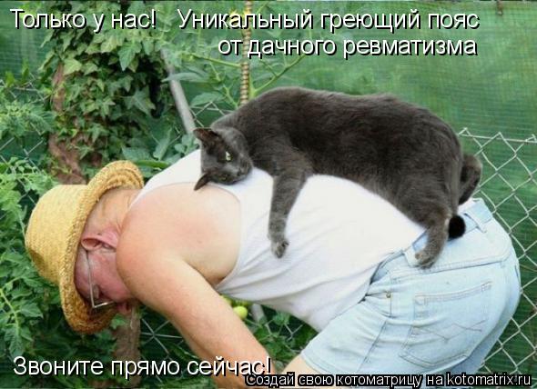 Котоматрица: Только у нас!   Уникальный греющий пояс от дачного ревматизма Звоните прямо сейчас!