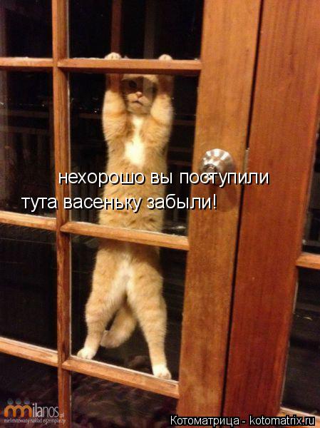 нехорошо вы поступили тута васеньку забыли!... Котоматрица: нехорошо вы поступили тута васеньку забыли!