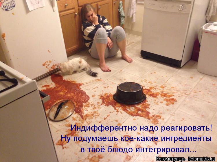Индифферентно надо реагировать! Ну подумаешь кое-какие ингредиенты в твоё блюдо интегрировал...... Котоматрица: Индифферентно надо реагировать! Ну подумаешь кое-какие ингредиенты в твоё блюдо интегрировал...