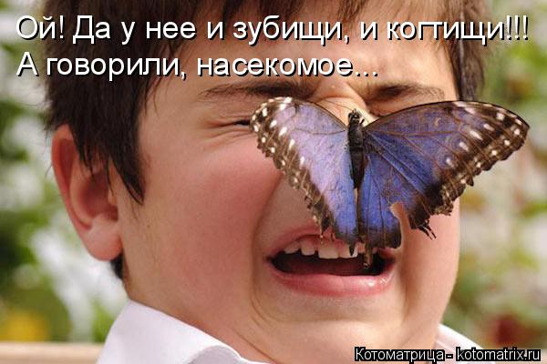 Котоматрица: Ой! Да у нее и зубищи, и когтищи!!! А говорили, насекомое...