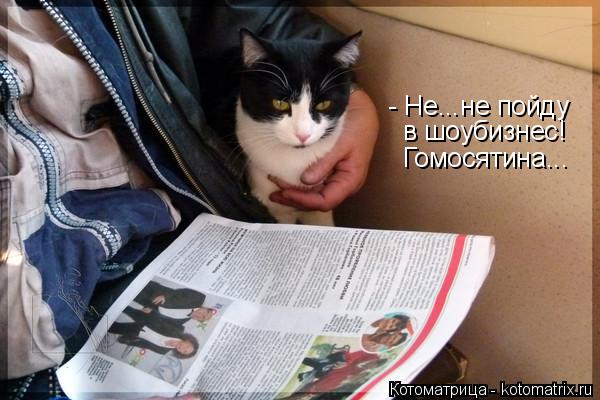 - Не...не пойду в шоубизнес! Гомосятина...... Котоматрица: - Не...не пойду в шоубизнес! Гомосятина...