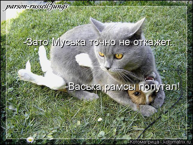 Котоматрица: -Васька,рамсы попутал! -Зато Муська точно не откажет..