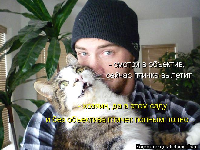 Котоматрица: - смотри в объектив,  сейчас птичка вылетит. - хозяин, да в этом саду  и без объектива птичек полным полно...