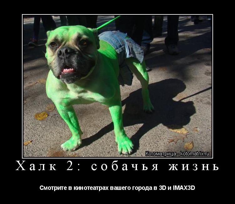 Халк 2: собачья жизнь Смотрите в кинотеатрах вашего города в 3D и IMAX3D... Котоматрица: Халк 2: собачья жизнь Смотрите в кинотеатрах вашего города в 3D и IMAX3D