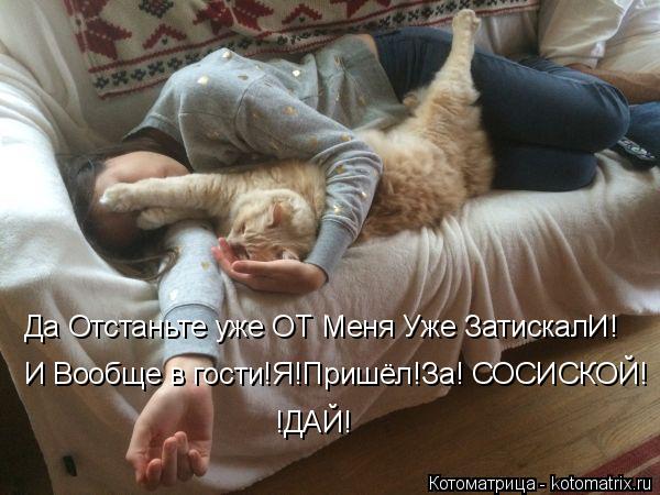 Да Отстаньте уже ОТ Меня Уже ЗатискалИ! И Вообще в гости!Я!Пришёл!За! СОСИСКОЙ! !ДАЙ!... Котоматрица: Да Отстаньте уже ОТ Меня Уже ЗатискалИ! И Вообще в гости!Я!Пришёл!За! СОСИСКОЙ! !ДАЙ!