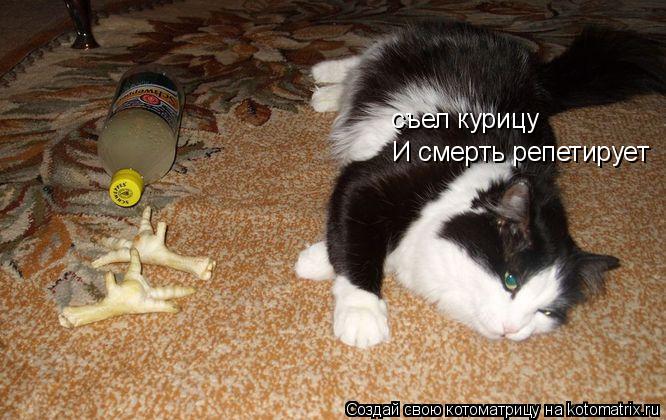 съел курицу И смерть репетирует... Котоматрица: съел курицу И смерть репетирует