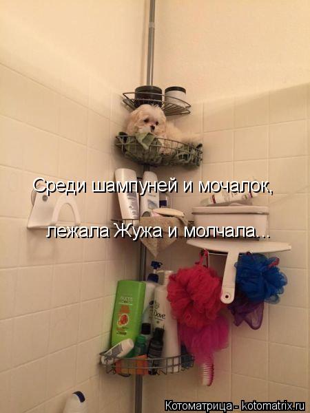 Среди шампуней и мочалок, лежала Жужа и молчала...... Котоматрица: Среди шампуней и мочалок, лежала Жужа и молчала...
