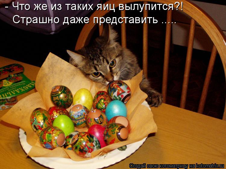 - Что же из таких яиц вылупится?! Страшно даже представить ........ Котоматрица: - Что же из таких яиц вылупится?! Страшно даже представить .....