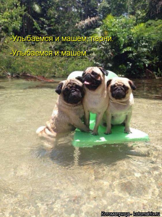 Улыбаемся и машем, парни -Улыбаемся и машем, парни. -Улыбаемся и машем.... Котоматрица: Улыбаемся и машем, парни -Улыбаемся и машем, парни. -Улыбаемся и машем.