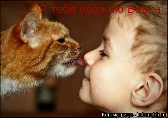 Я тебя обожаю Вовка... Котоматрица: Я тебя обожаю Вовка