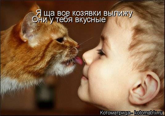 Я ща все козявки вылижу Они у тебя вкусные... Котоматрица: Я ща все козявки вылижу Они у тебя вкусные