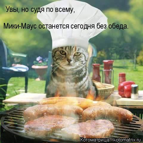 Увы, но судя по всему, Мики-Маус останется сегодня без обеда.... Котоматрица: Увы, но судя по всему, Мики-Маус останется сегодня без обеда.