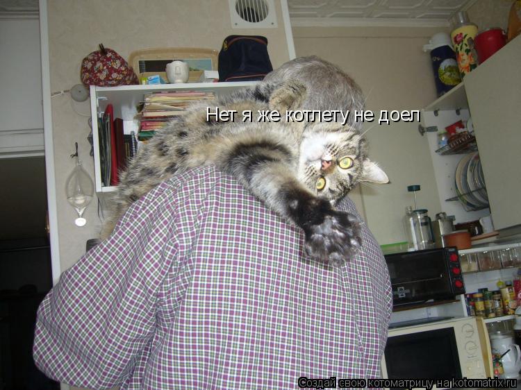 Котоматрица: Нет я же котлету не доел