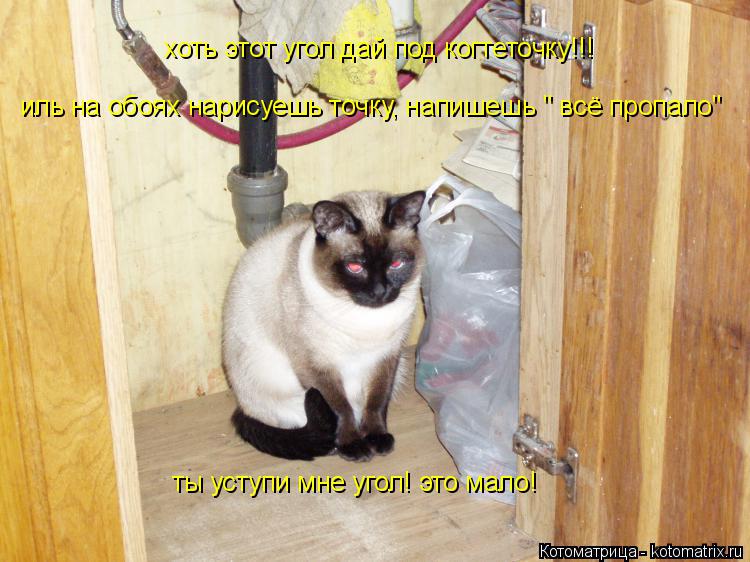 хоть этот угол дай под когтеточку!!! иль на обоях нарисуешь точку, напишешь " всё пропало" ты уступи ... Котоматрица: хоть этот угол дай под когтеточку!!! иль на обоях нарисуешь точку, напишешь " всё пропало" ты уступи мне угол! это мало!