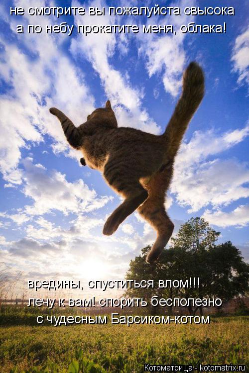 не смотрите вы пожалуйста свысока а по небу прокатите меня, облака! вредины, спуститься влом!!! лечу ... Котоматрица: не смотрите вы пожалуйста свысока а по небу прокатите меня, облака! вредины, спуститься влом!!! лечу к вам! спорить бесполезно с чудесным Бар