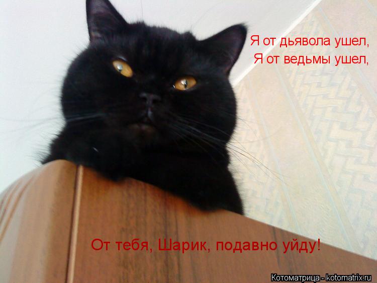 Я от дьявола ушел, От тебя, Шарик, подавно уйду! Я от ведьмы ушел,... Котоматрица: Я от дьявола ушел, От тебя, Шарик, подавно уйду! Я от ведьмы ушел,