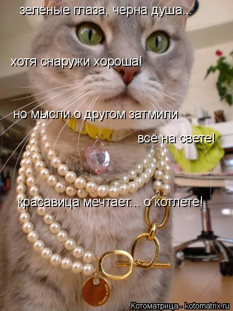 зелёные глаза, черна душа... хотя снаружи хороша! но мысли о другом затмили всё на свете! красавица ... Котоматрица: зелёные глаза, черна душа... хотя снаружи хороша! но мысли о другом затмили всё на свете! красавица мечтает... о котлете!