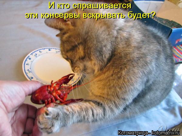 Котоматрица: И кто спрашивается  эти консервы вскрывать будет?