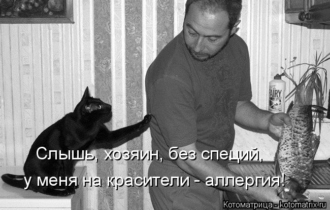 Слышь, хозяин, без специй, у меня на красители - аллергия!... Котоматрица: Слышь, хозяин, без специй, у меня на красители - аллергия!