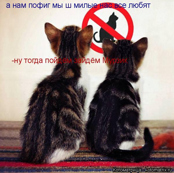 а нам пофиг мы ш милые нас все любят -ну тогда пойдём зайдём Мурзик... Котоматрица: а нам пофиг мы ш милые нас все любят -ну тогда пойдём зайдём Мурзик