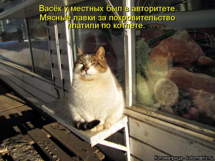 Васёк у местных был в авторитете. Мясные лавки за покровительство платили по котлете.... Котоматрица: Васёк у местных был в авторитете. Мясные лавки за покровительство платили по котлете.
