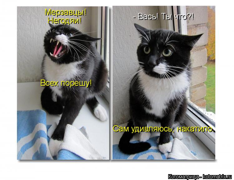 Котоматрица: Мерзавцы! Негодяи! Всех порешу! - Вась! Ты что?! Сам удивляюсь, накатило.