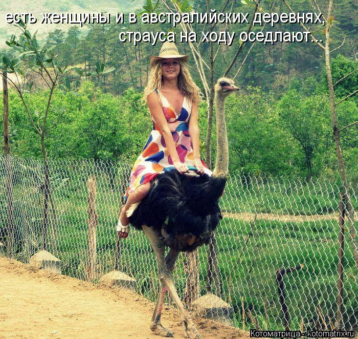 Котоматрица: есть женщины и в австралийских деревнях, страуса на ходу оседлают...