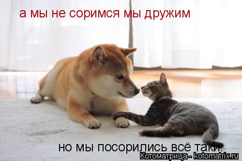 а мы не соримся мы дружим но мы посорились всё таки.... Котоматрица: а мы не соримся мы дружим но мы посорились всё таки.