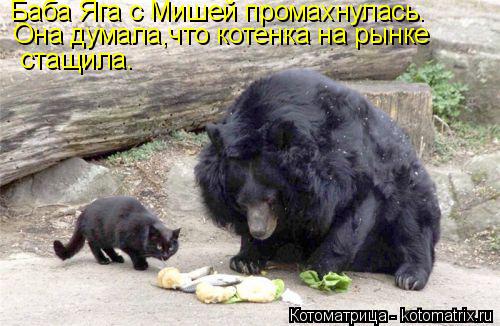 Баба Яга с Мишей промахнулась. Она думала,что котенка на рынке стащила.... Котоматрица: Баба Яга с Мишей промахнулась. Она думала,что котенка на рынке стащила.