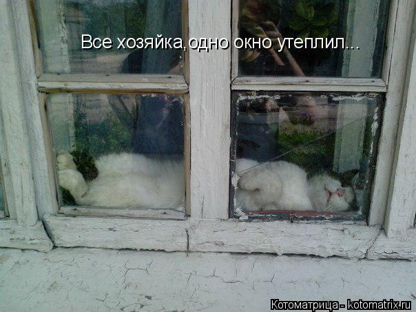 Все хозяйка,одно окно утеплил...... Котоматрица: Все хозяйка,одно окно утеплил...