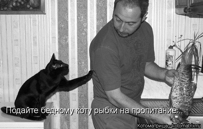 Подайте бедному коту рыбки на пропитание...... Котоматрица: Подайте бедному коту рыбки на пропитание...