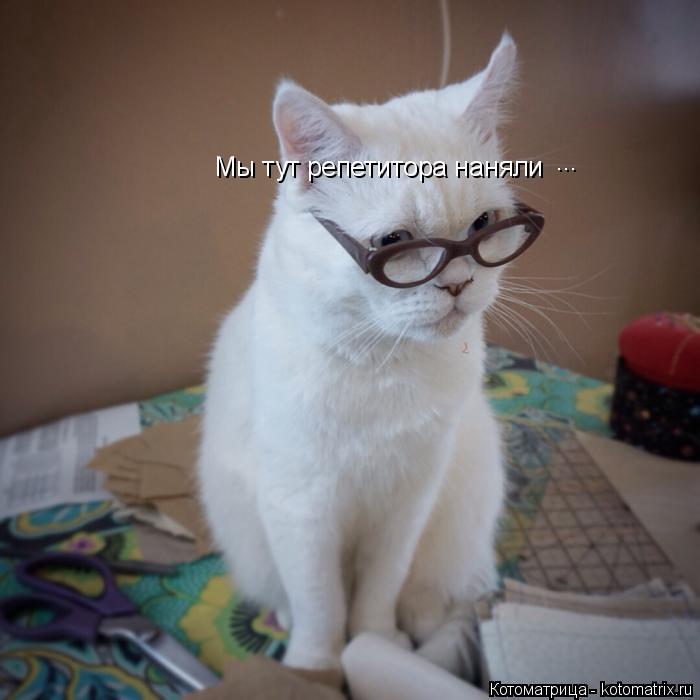 Котоматрица: Мы тут репетитора наняли  ...