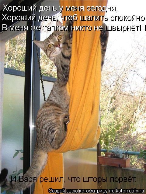 Хороший день у меня сегодня, Хороший день, чтоб шалить спокойно! В меня же тапком никто не швырнёт!!!... Котоматрица: Хороший день у меня сегодня, Хороший день, чтоб шалить спокойно! В меня же тапком никто не швырнёт!!! И Вася решил, что шторы порвёт.