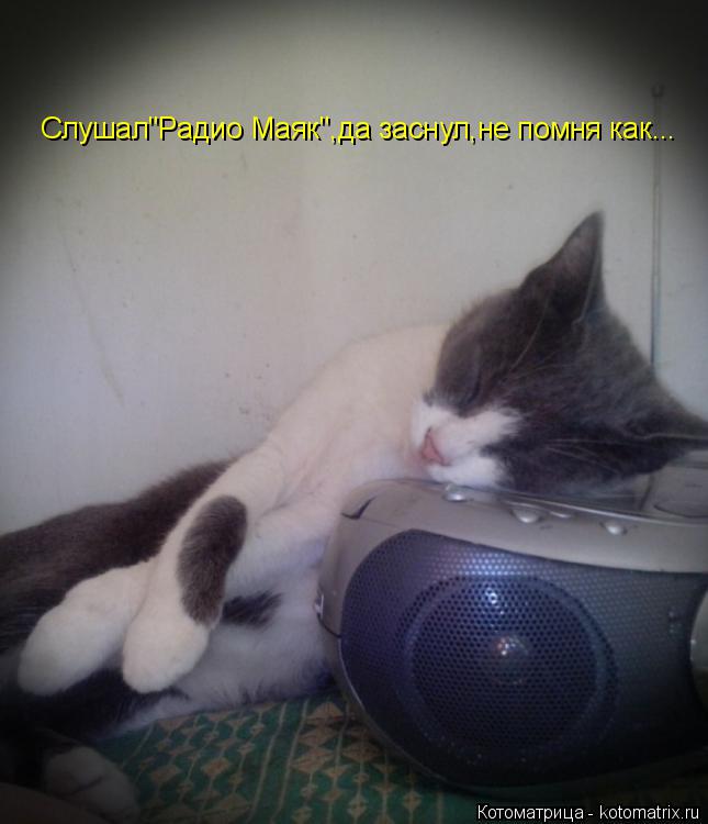 Слушал"Радио Маяк",да заснул,не помня как...... Котоматрица: Слушал"Радио Маяк",да заснул,не помня как...