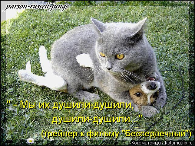 " - Мы их душили-душили, душили-душили..." (трейлер к фильму "Бессердечный")... Котоматрица: " - Мы их душили-душили, душили-душили..." (трейлер к фильму "Бессердечный")