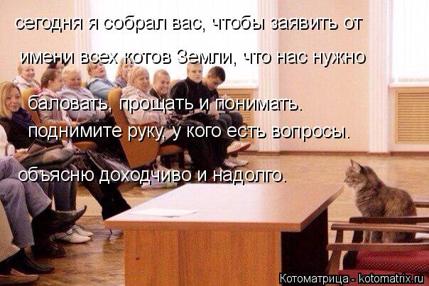 сегодня я собрал вас, чтобы заявить от имени всех котов Земли, что нас нужно баловать, прощать и пони... Котоматрица: сегодня я собрал вас, чтобы заявить от имени всех котов Земли, что нас нужно баловать, прощать и понимать. поднимите руку, у кого есть вопрос