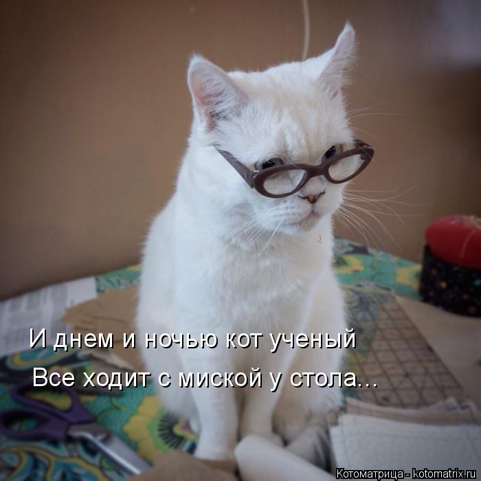 И днем и ночью кот ученый Все ходит с миской у стола...... Котоматрица: И днем и ночью кот ученый Все ходит с миской у стола...
