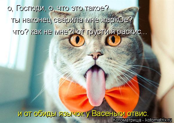 о, Господи, о, что это такое? ты наконец сварила мне жаркОе? что? как не мне?! от грусти я раскис... ... Котоматрица: о, Господи, о, что это такое? ты наконец сварила мне жаркОе? что? как не мне?! от грусти я раскис... и от обиды язычок у Васеньки отвис.