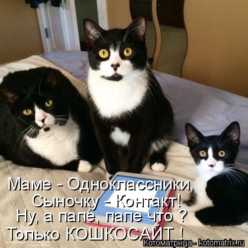 Маме - Одноклассники, Сыночку - Контакт! Ну, а папе, папе что ? Только КОШКОСАЙТ !... Котоматрица: Маме - Одноклассники, Сыночку - Контакт! Ну, а папе, папе что ? Только КОШКОСАЙТ !