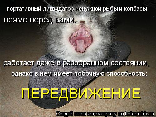Котоматрица: портативный ликвидатор ненужной рыбы и колбасы прямо перед вами. работает даже в разобранном состоянии, однако в нём имеет побочную способ