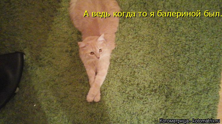Котоматрица: А ведь когда то я балериной был....