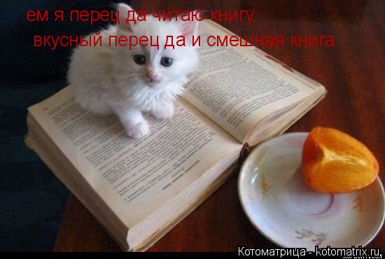 ем я перец да читаю книгу, вкусный перец да и смешная книга... Котоматрица: ем я перец да читаю книгу, вкусный перец да и смешная книга