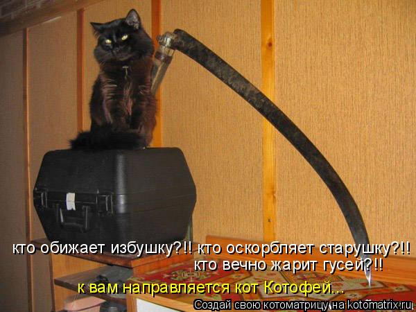 кто обижает избушку?!! кто оскорбляет старушку?!! кто вечно жарит гусей?!! к вам направляется кот Кот... Котоматрица: кто обижает избушку?!! кто оскорбляет старушку?!! кто вечно жарит гусей?!! к вам направляется кот Котофей...
