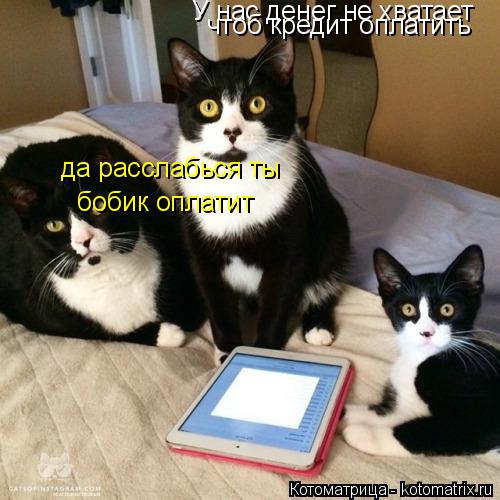 Котоматрица: У нас денег не хватает чтоб кредит оплатить да расслабься ты бобик оплатит
