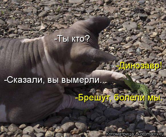 -Динозавр! -Сказали, вы вымерли... -Ты кто? -Брешут, болели мы.... Котоматрица: -Динозавр! -Сказали, вы вымерли... -Ты кто? -Брешут, болели мы.
